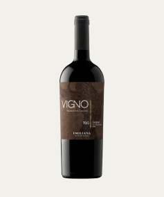 Vigno Carignan 2017