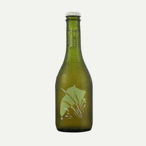 Cerveza Ipa La Montaña