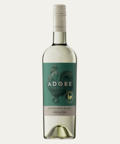 adobe-sauvignon-blanc