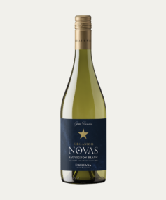 Novas Sauvignon Blanc 2025