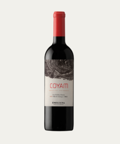 Coyam 2019