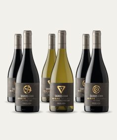 Selección Signos de Origen