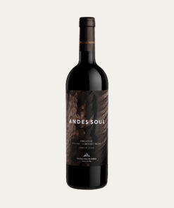 Andes Soul
