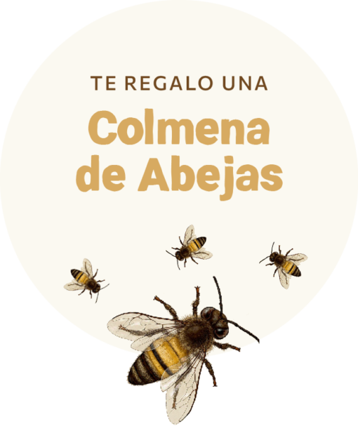 Colmena de Abejas