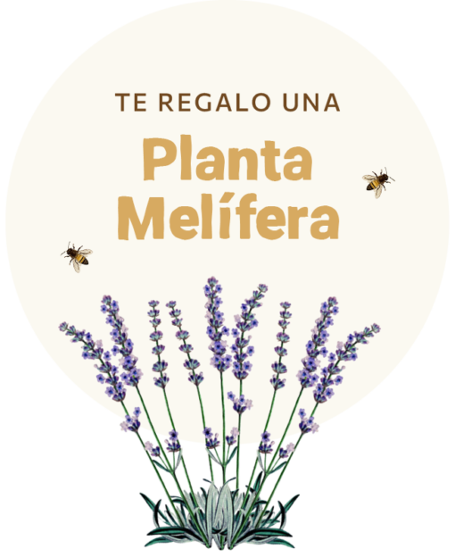 Planta Melífera